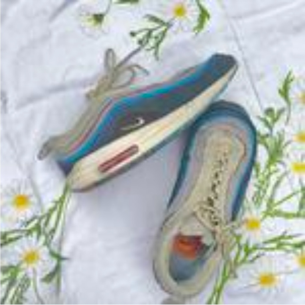 Nike Air Max 1/97 
Sean Wotherspoon